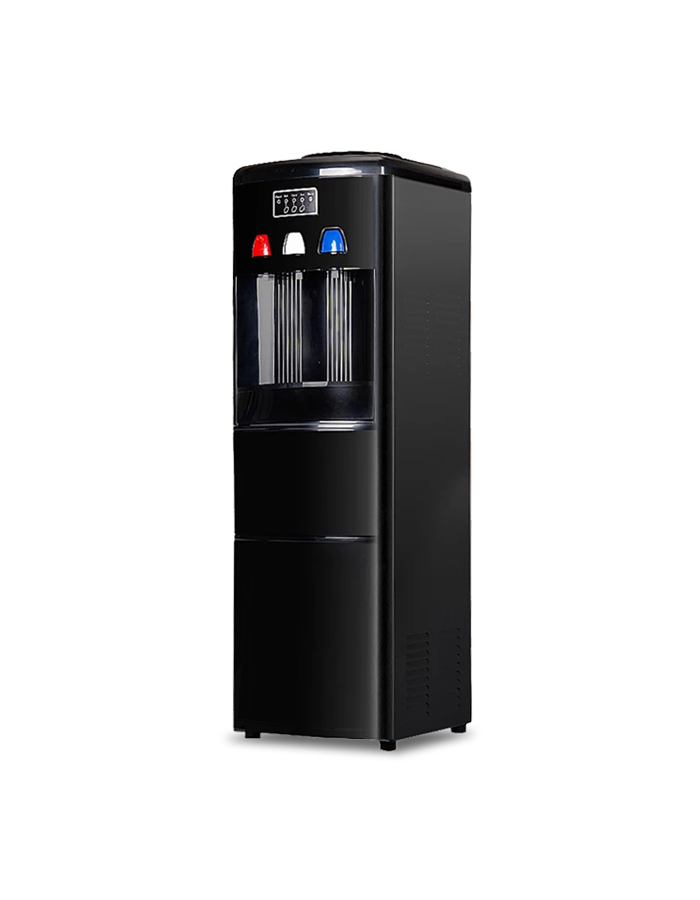 T2